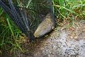 Manor Farm Coarse Fishing Anglers of the Future (28)